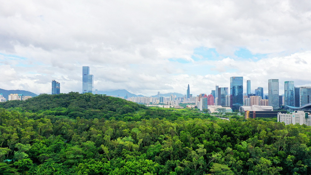 2021年首季經(jīng)濟(jì)迎來(lái)開門紅，深圳發(fā)展勢(shì)頭強(qiáng)勁